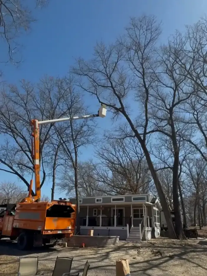 Professional Tree Company in Elgin, IL Professional Tree Company in Elgin, IL